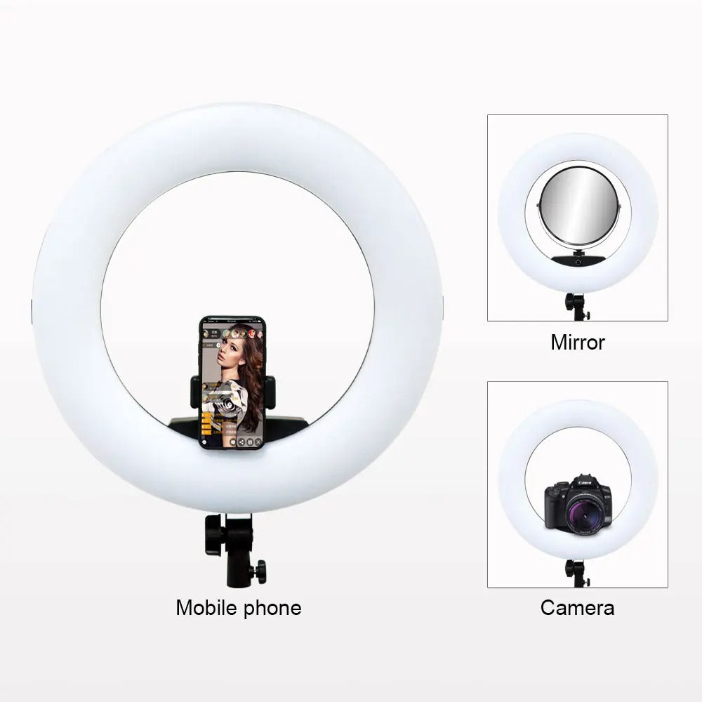 26cm Ring Light With Phone Holder & 3 Shades Of Colour For Videos Photography Studio & Lightining
